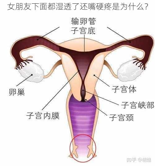 女朋友下面都湿透了还嘴硬疼是为什么？