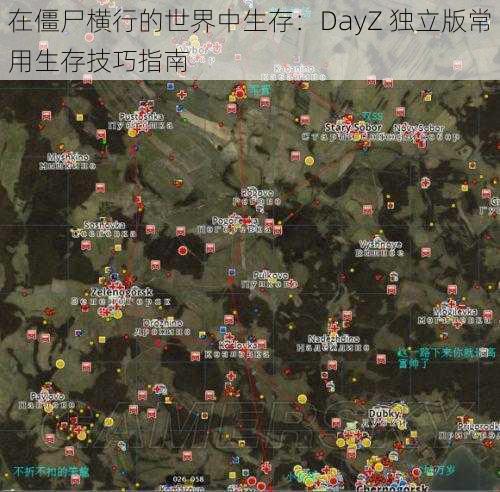 在僵尸横行的世界中生存：DayZ 独立版常用生存技巧指南