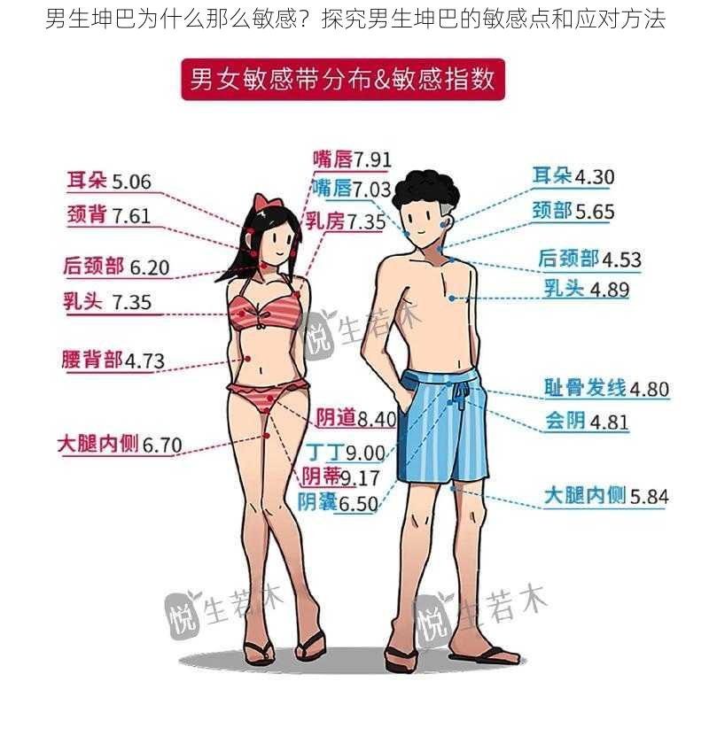 男生坤巴为什么那么敏感？探究男生坤巴的敏感点和应对方法