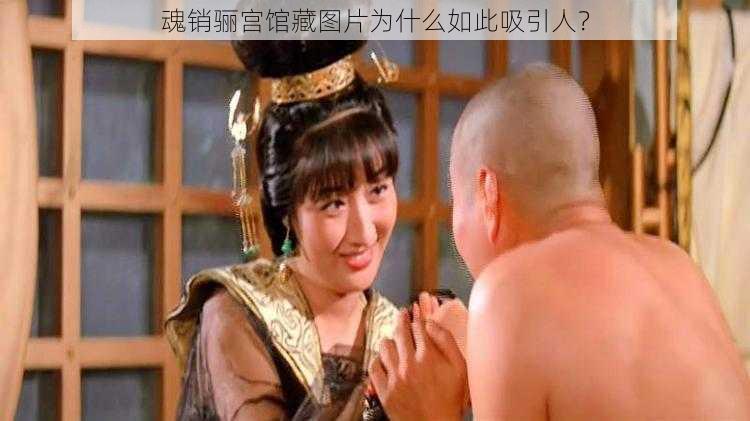 魂销骊宫馆藏图片为什么如此吸引人？