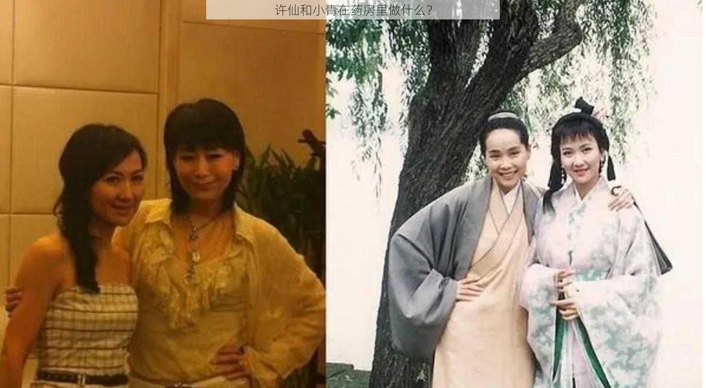 许仙和小青在药房里做什么？