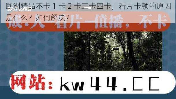 欧洲精品不卡 1 卡 2 卡三卡四卡，看片卡顿的原因是什么？如何解决？