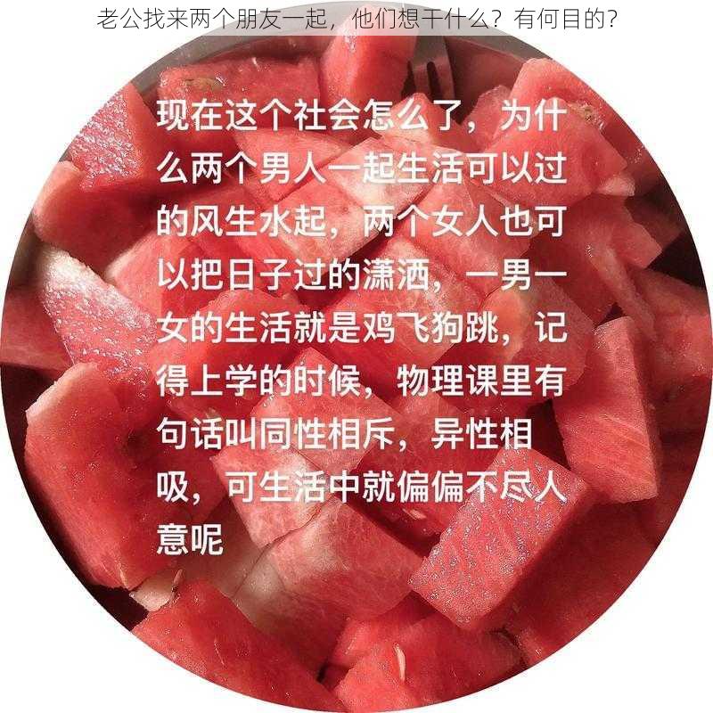 老公找来两个朋友一起，他们想干什么？有何目的？