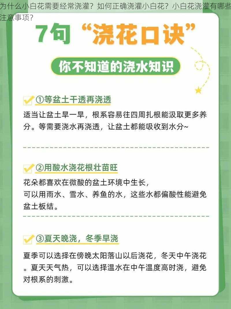 为什么小白花需要经常浇灌？如何正确浇灌小白花？小白花浇灌有哪些注意事项？