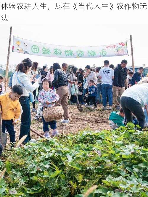 体验农耕人生，尽在《当代人生》农作物玩法