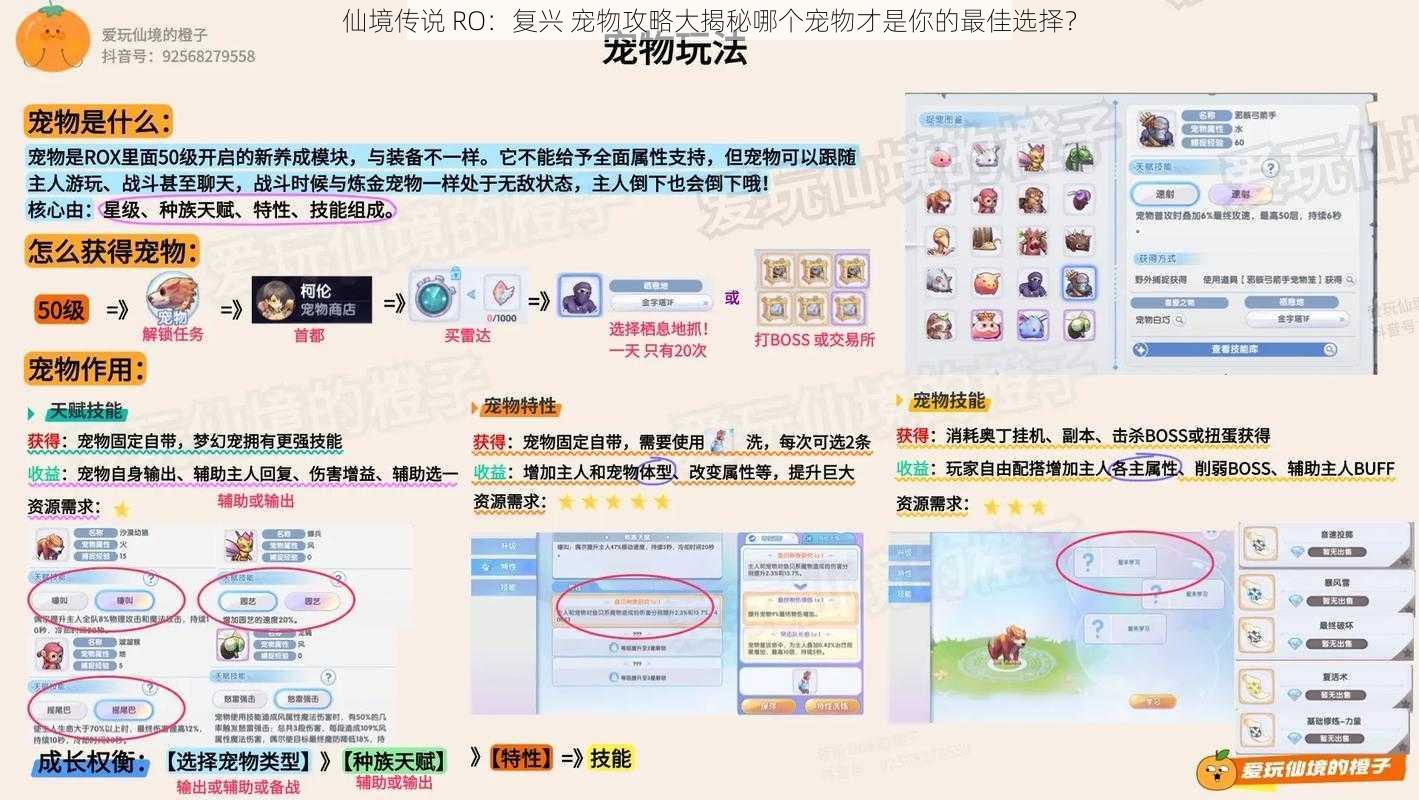 仙境传说 RO：复兴 宠物攻略大揭秘哪个宠物才是你的最佳选择？