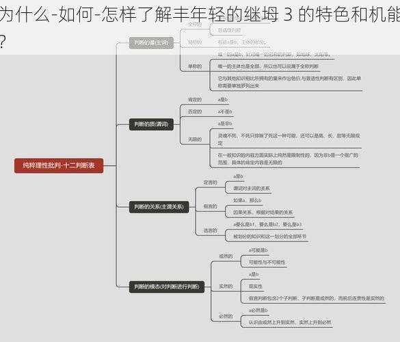 为什么-如何-怎样了解丰年轻的继坶 3 的特色和机能？