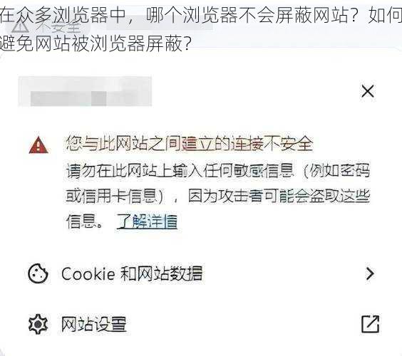 在众多浏览器中，哪个浏览器不会屏蔽网站？如何避免网站被浏览器屏蔽？