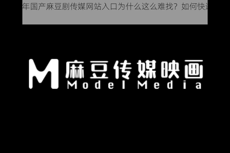 2021 年国产麻豆剧传媒网站入口为什么这么难找？如何快速找到它们？