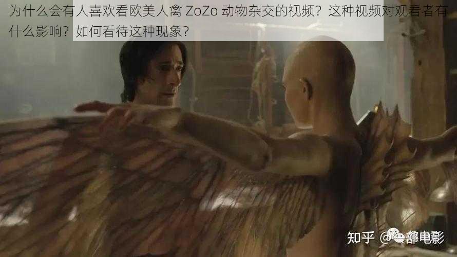 为什么会有人喜欢看欧美人禽 ZoZo 动物杂交的视频？这种视频对观看者有什么影响？如何看待这种现象？