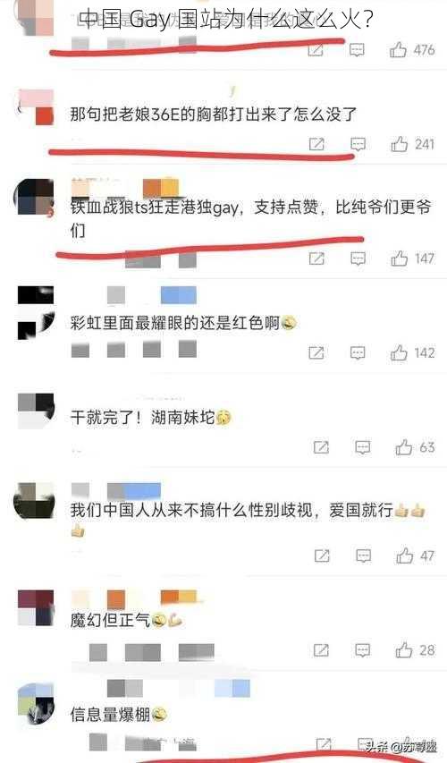 中国 Gay 国站为什么这么火？