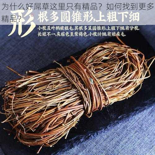 为什么好屌草这里只有精品？如何找到更多精品？