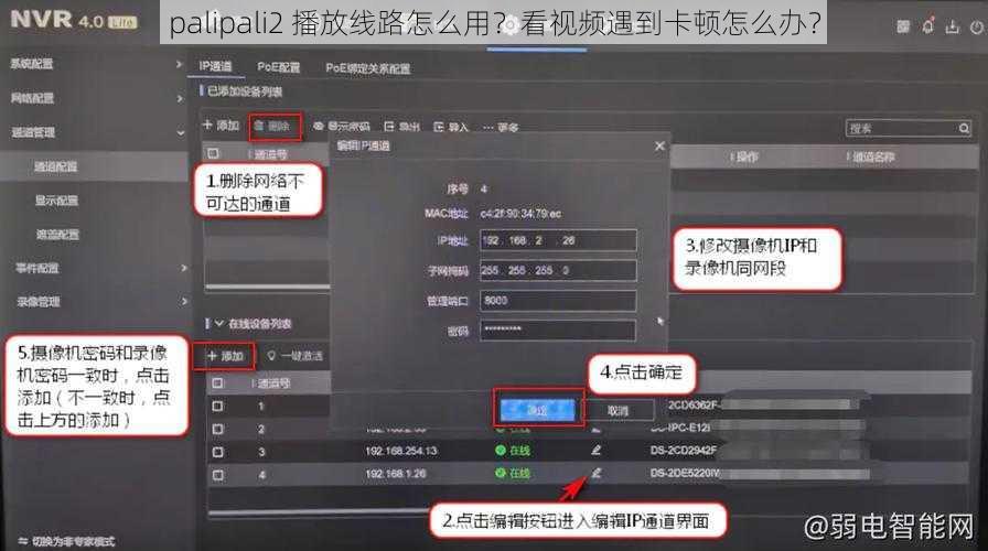 palipali2 播放线路怎么用？看视频遇到卡顿怎么办？