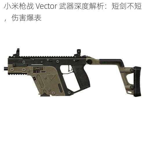 小米枪战 Vector 武器深度解析：短剑不短，伤害爆表