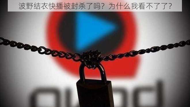 波野结衣快播被封杀了吗？为什么我看不了了？