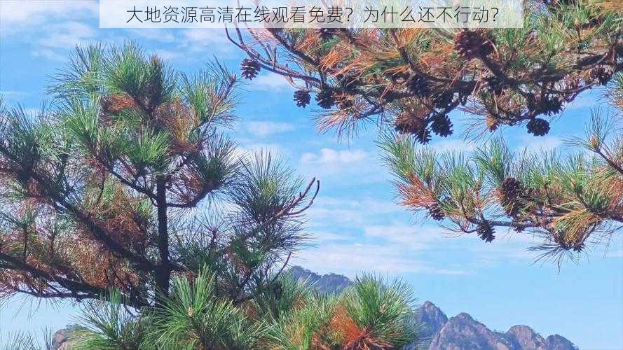 大地资源高清在线观看免费？为什么还不行动？