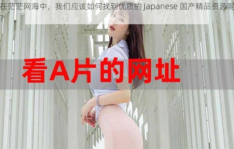 在茫茫网海中，我们应该如何找到优质的 Japanese 国产精品资源呢？