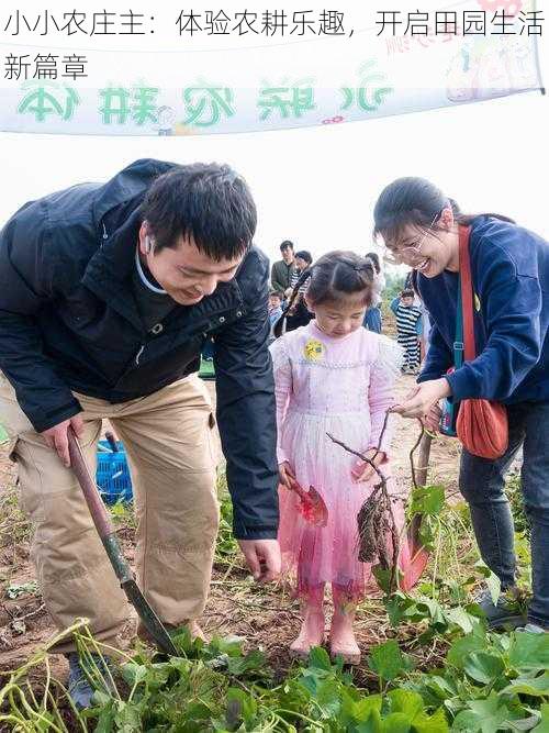 小小农庄主：体验农耕乐趣，开启田园生活新篇章