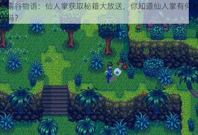 星露谷物语:仙人掌获取秘籍大放送,你知道仙人掌有何妙用吗?