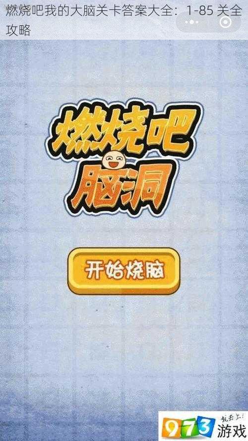 燃烧吧我的大脑关卡答案大全：1-85 关全攻略