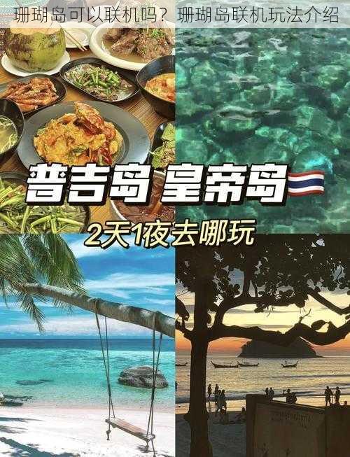 珊瑚岛可以联机吗？珊瑚岛联机玩法介绍