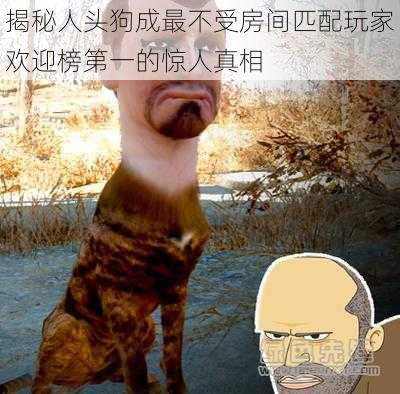 揭秘人头狗成最不受房间匹配玩家欢迎榜第一的惊人真相