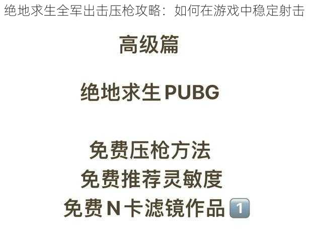 绝地求生全军出击压枪攻略：如何在游戏中稳定射击